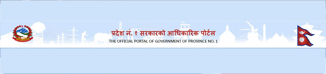Province 1 Governmental Portal